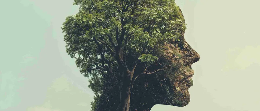 Profilo di testa umana formato dalla chioma di un albero verde